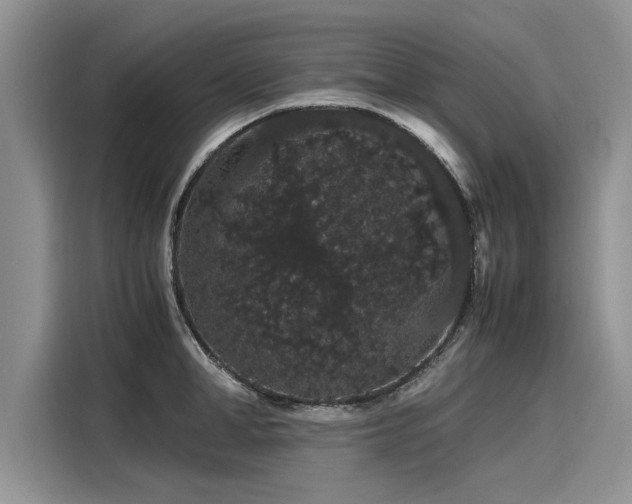 X0000116120998200911301323