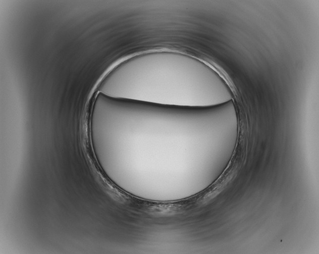 X0000116121000200911301323