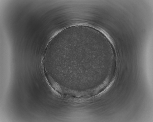 X0000116121001200911301323