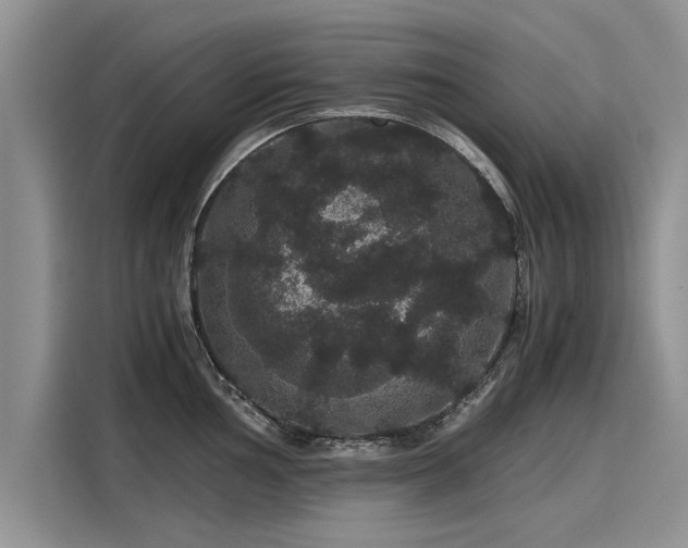 X0000116121002200911301323