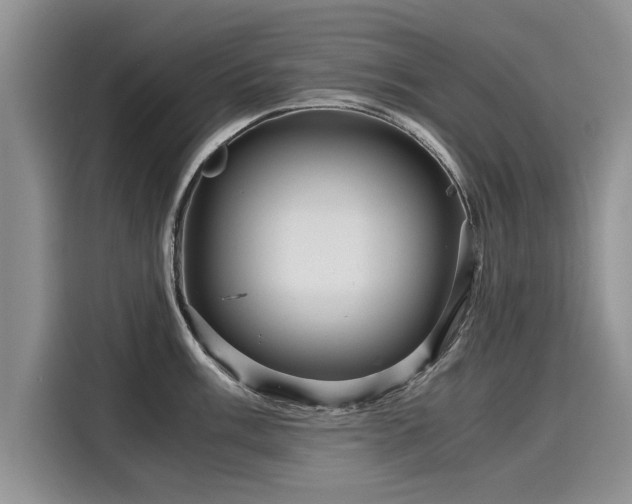 X0000116121003200911301323