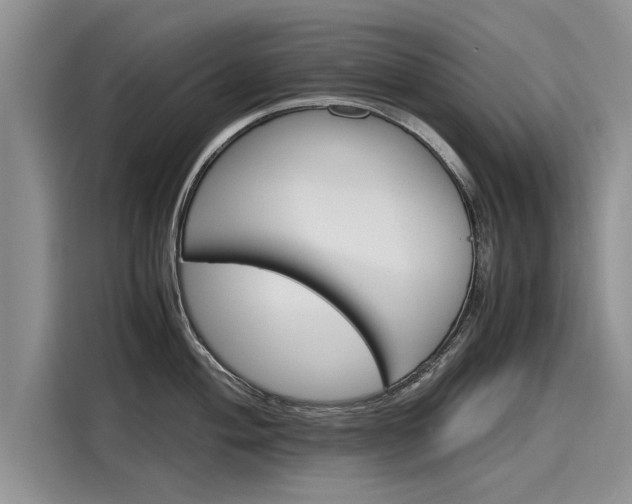 X0000116121004200911301323