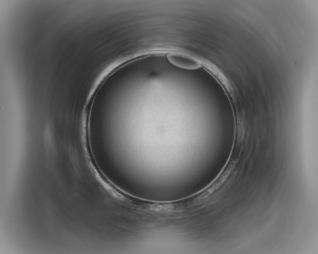 X0000116121006200911301323