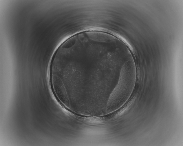 X0000116121007200911301323