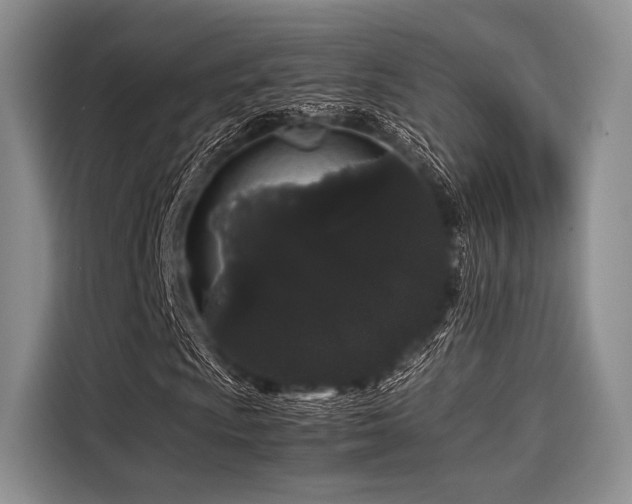 X0000116121009200911301322