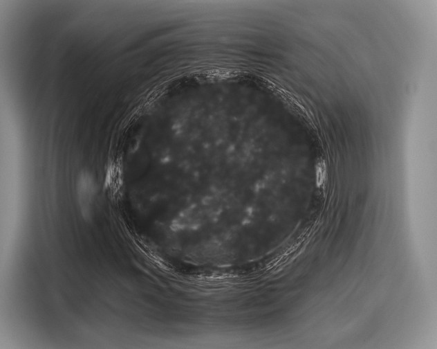 X0000116121011200911301322