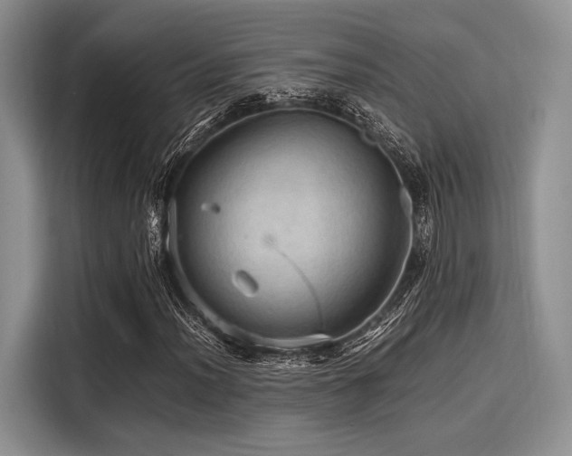 X0000116121012200911301323