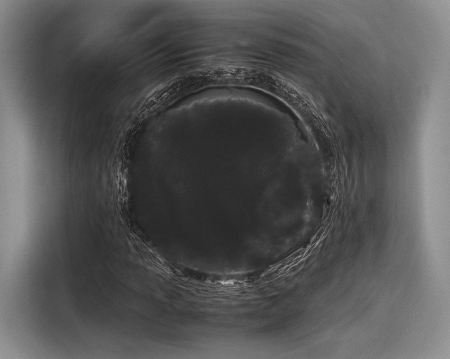 X0000116121013200911301323