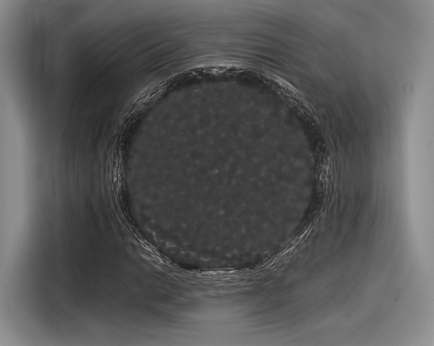 X0000116121014200911301323