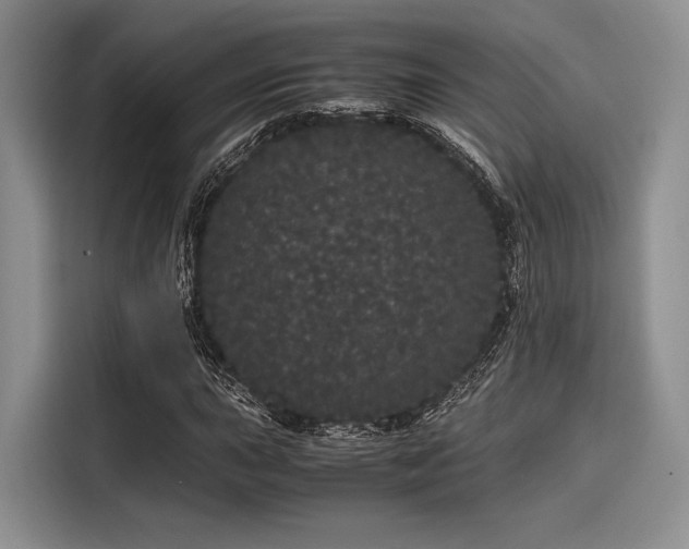 X0000116121015200911301323