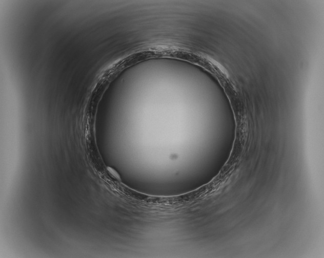 X0000116121016200911301323