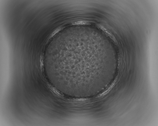 X0000116121017200911301323