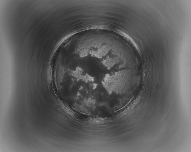 X0000116121019200911301323