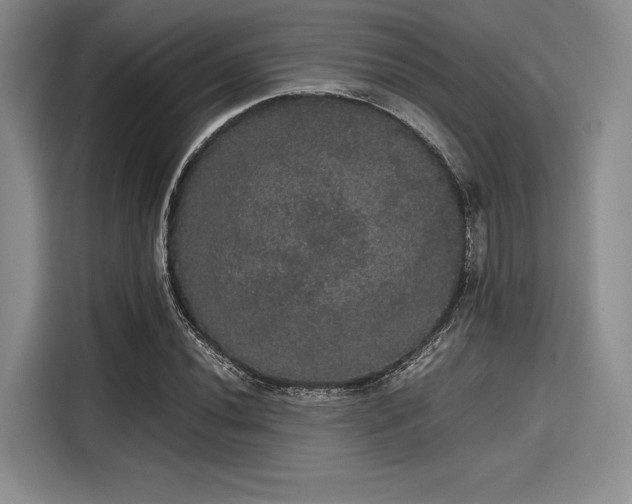 X0000116121020200911301323