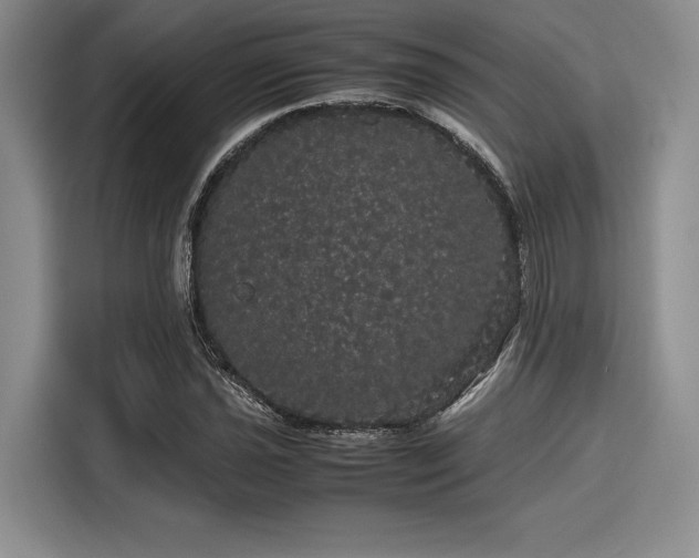 X0000116121021200911301323