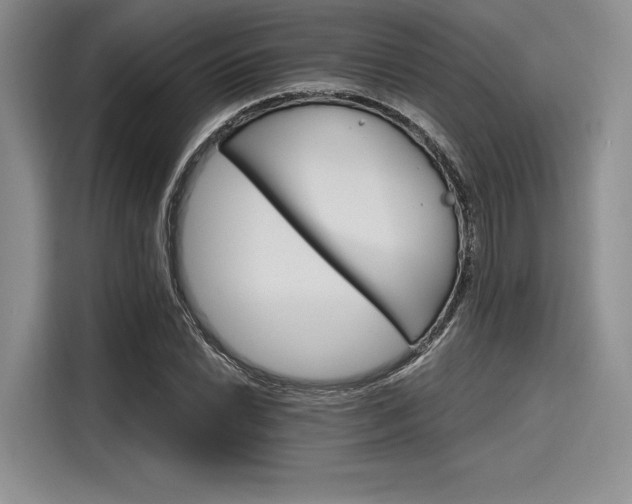 X0000116121022200911301323