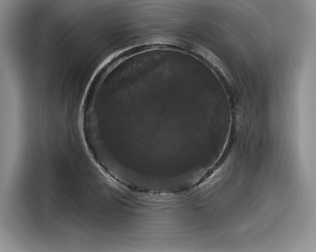 X0000116121024200911301323