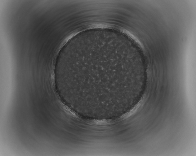 X0000116121025200911301323