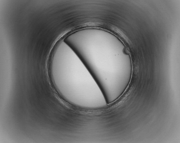 X0000116121026200911301323