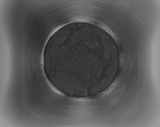 X0000116121028200911301323