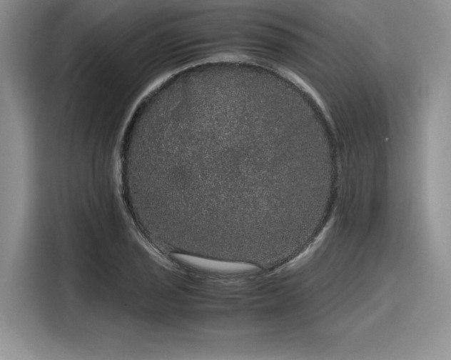 X0000116121029200911301323