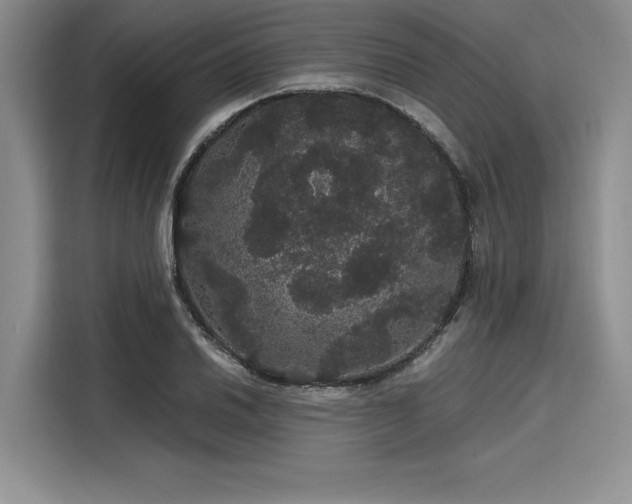 X0000116121030200911301323