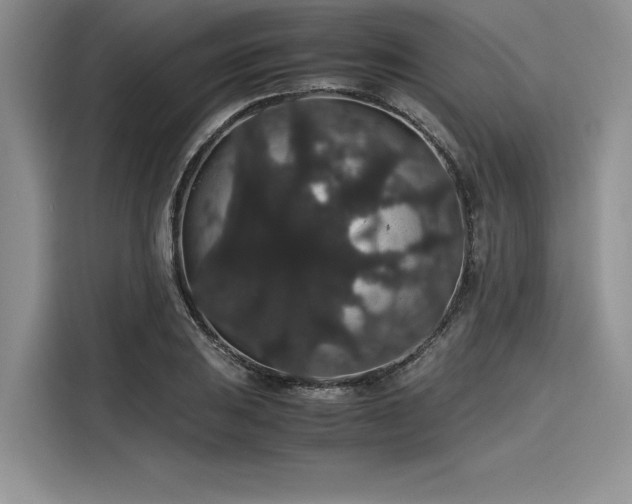 X0000116121031200911301323