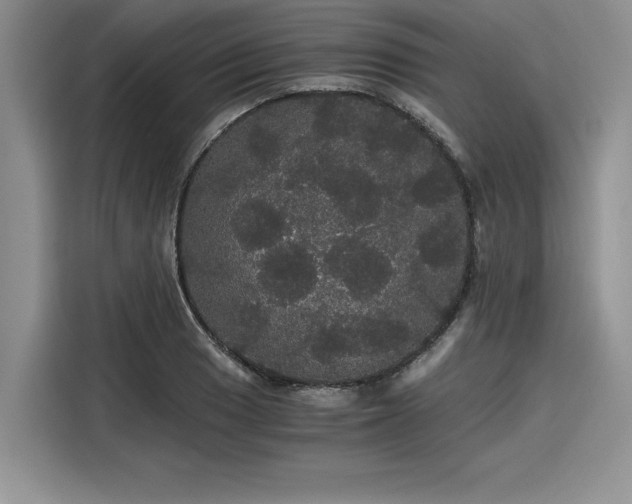 X0000116121033200911301323