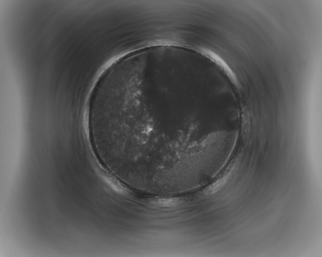 X0000116121035200911301323