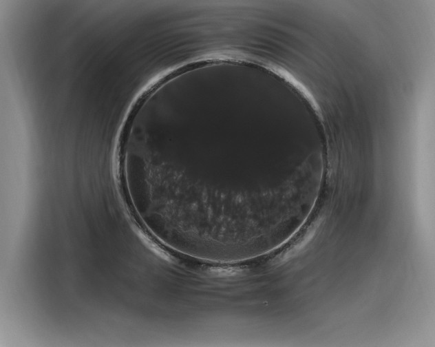 X0000116121037200911301323