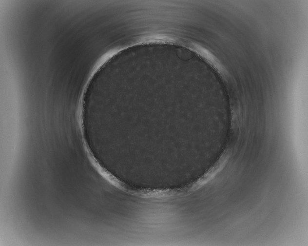 X0000116121038200911301323