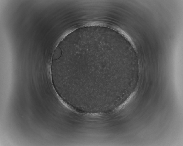 X0000116121041200911301323