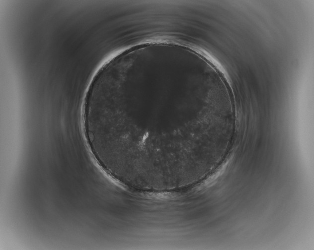 X0000116121045200911301323