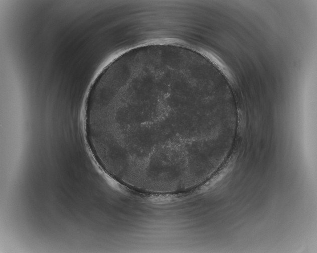 X0000116121046200911301323