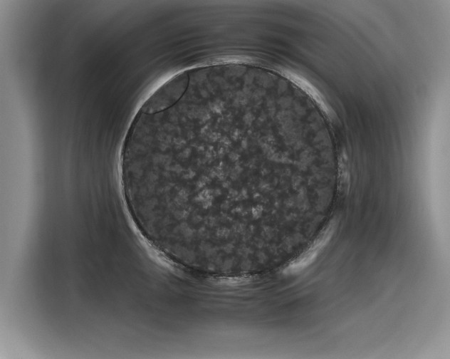 X0000116121047200911301323