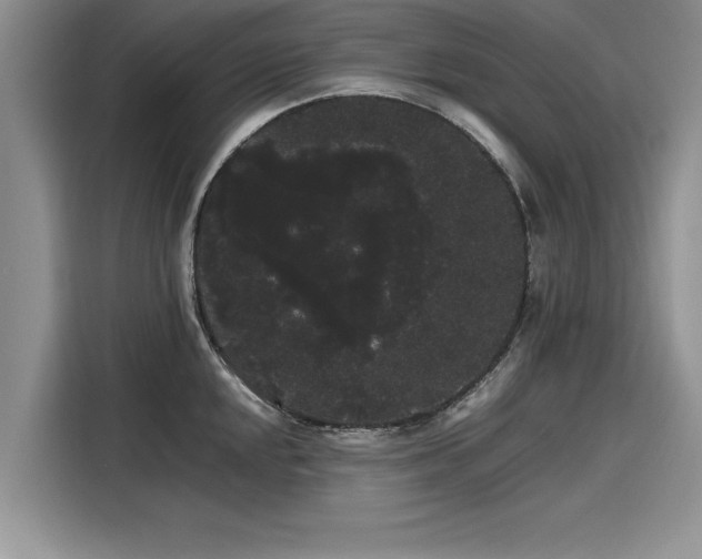 X0000116121048200911301323