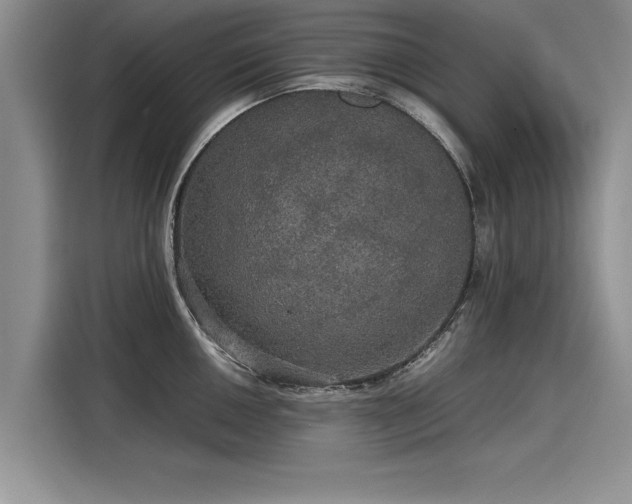 X0000116121050200911301323