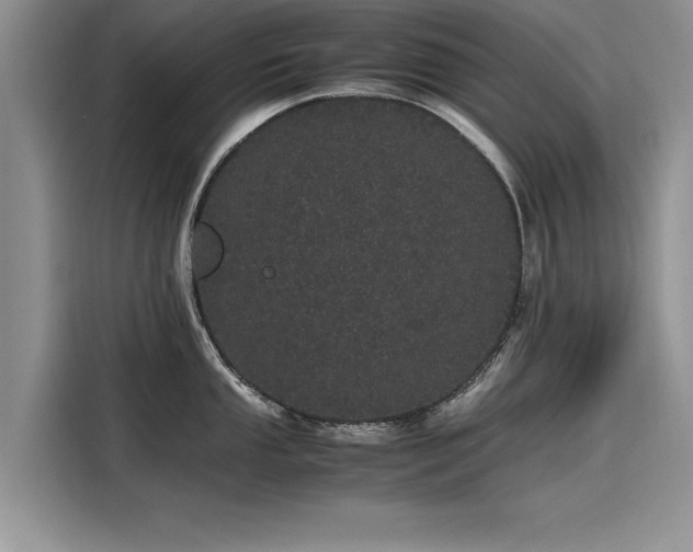 X0000116121053200911301323