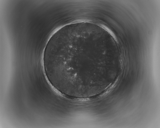 X0000116121055200911301323