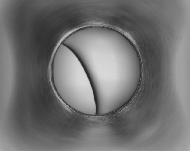 X0000116121056200911301323