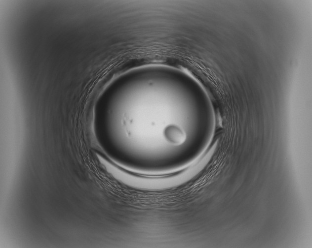 X0000116121057200911301322