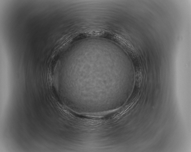 X0000116121058200911301322