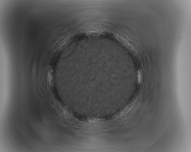 X0000116121059200911301322