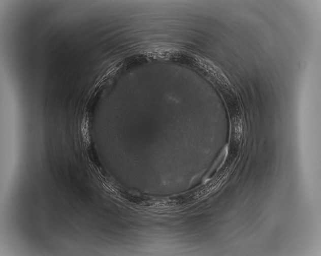 X0000116121060200911301322