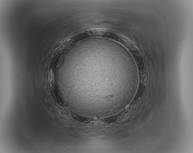 X0000116121061200911301322