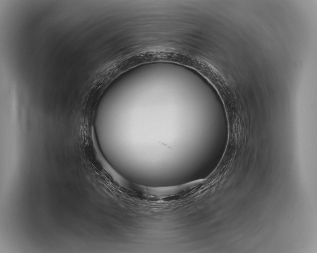 X0000116121062200911301322