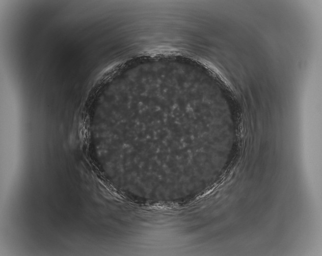 X0000116121063200911301322