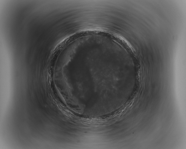 X0000116121064200911301322