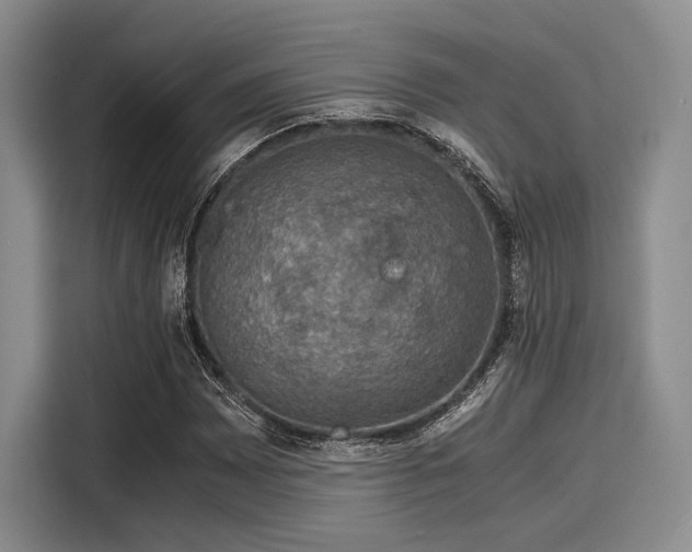 X0000116121065200911301322