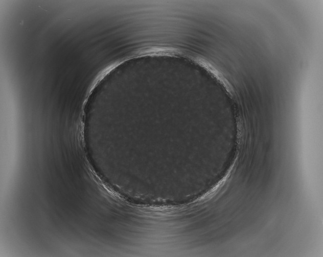 X0000116121066200911301322